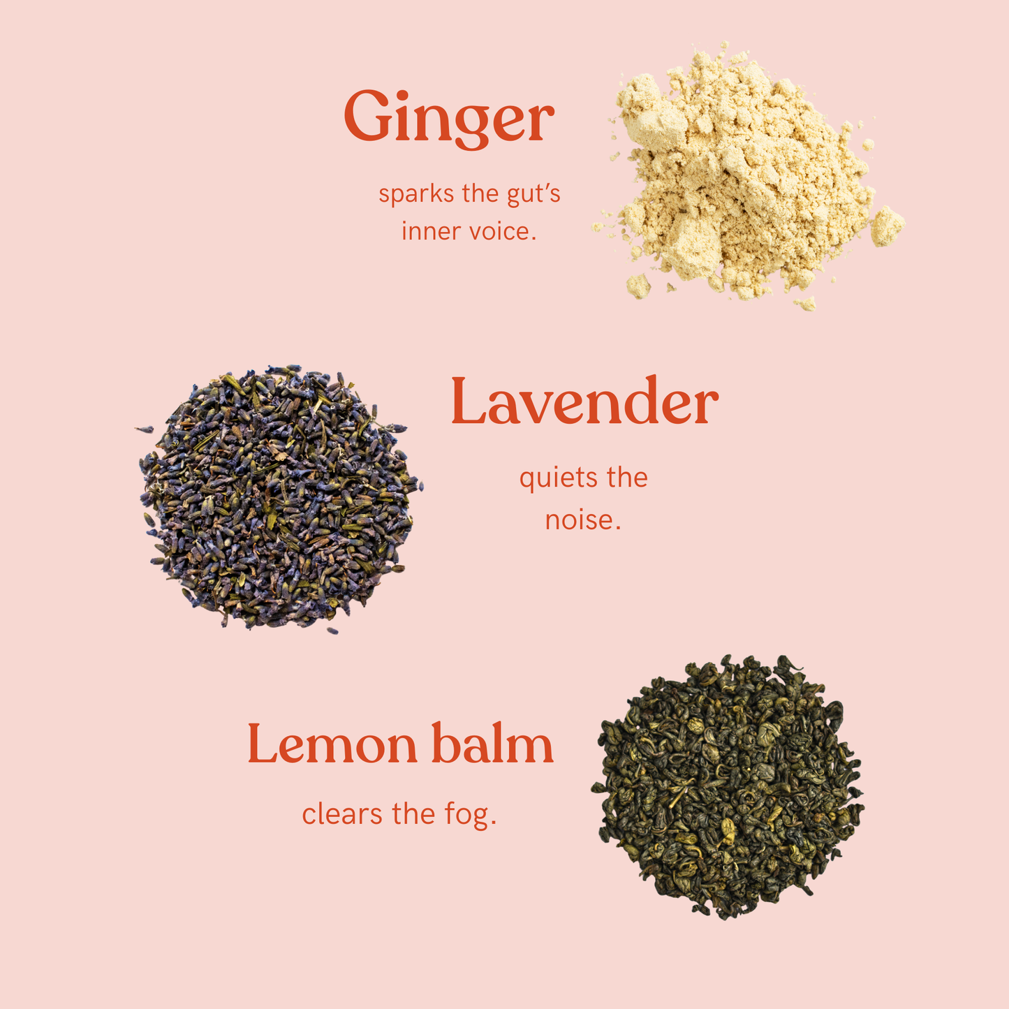 Intuition Blend